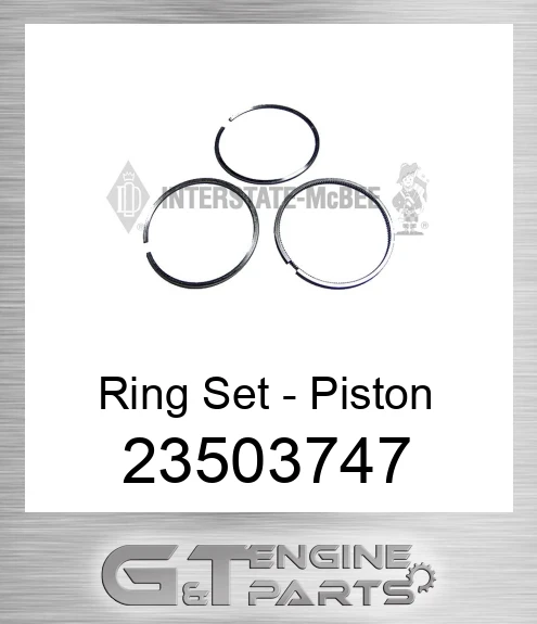 23503747 Ring Set - Piston