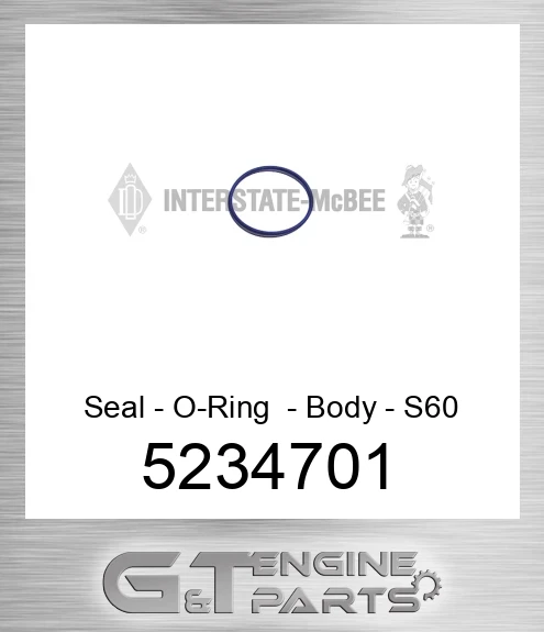 5234701 Seal - O-Ring - Body - S60
