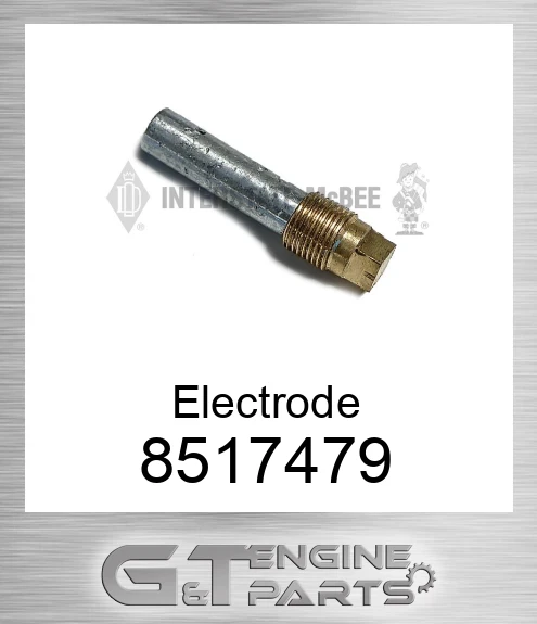8517479 Electrode