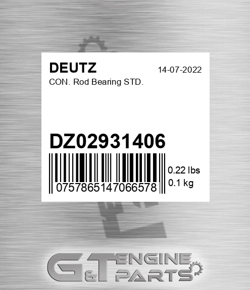 DZ02931406 CON. Rod Bearing STD.