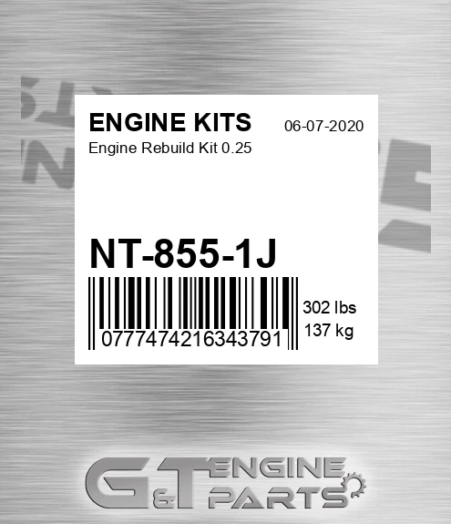 NT-855-1J Engine Rebuild Kit 0.25