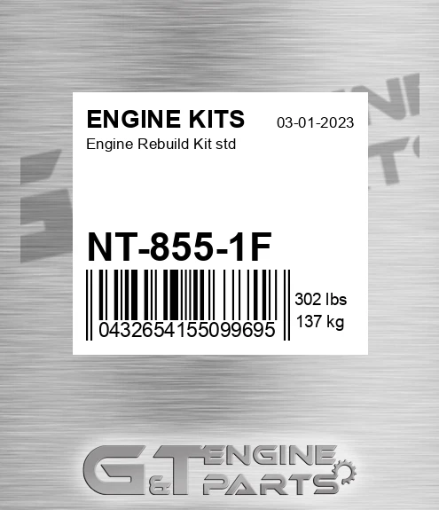 NT-855-1F Engine Rebuild Kit std