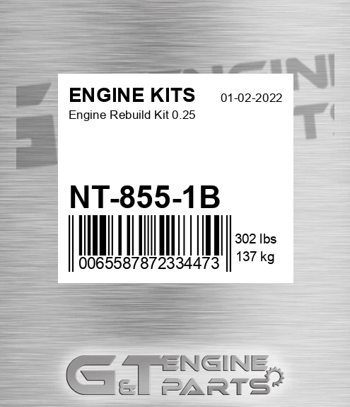 NT-855-1B Engine Rebuild Kit 0.25
