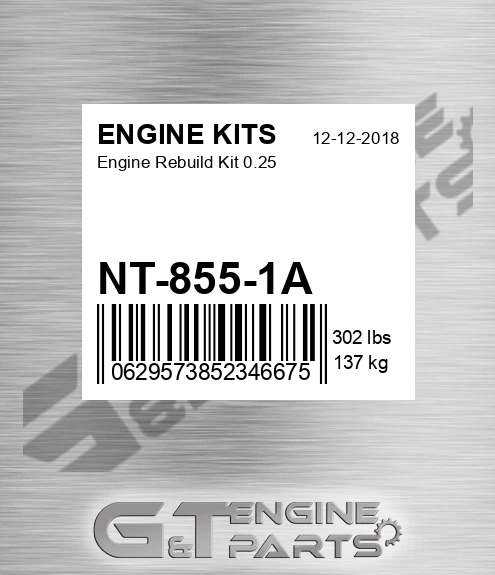 NT-855-1A Engine Rebuild Kit 0.25