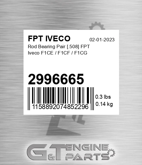 2996665 Rod Bearing Pair [.508] FPT Iveco F1CE / F1CF / F1CG