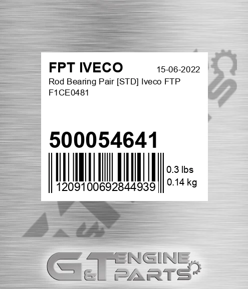 500054641 Rod Bearing Pair [STD] Iveco FTP F1CE0481
