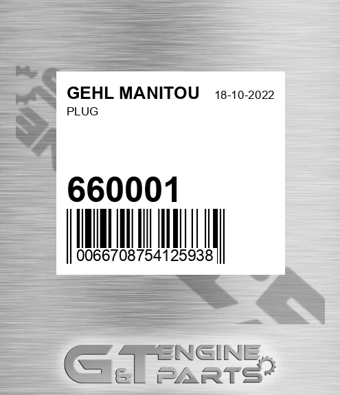 660001 Plug