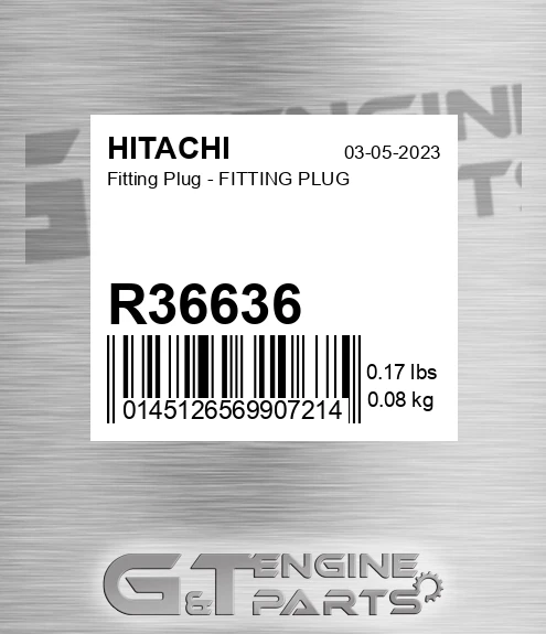 R36636 Fitting Plug - FITTING PLUG