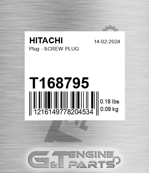 T168795 Plug - SCREW PLUG