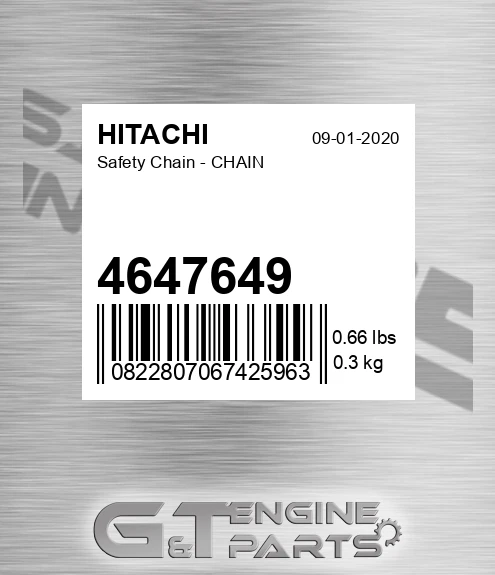 4647649 Safety Chain - CHAIN