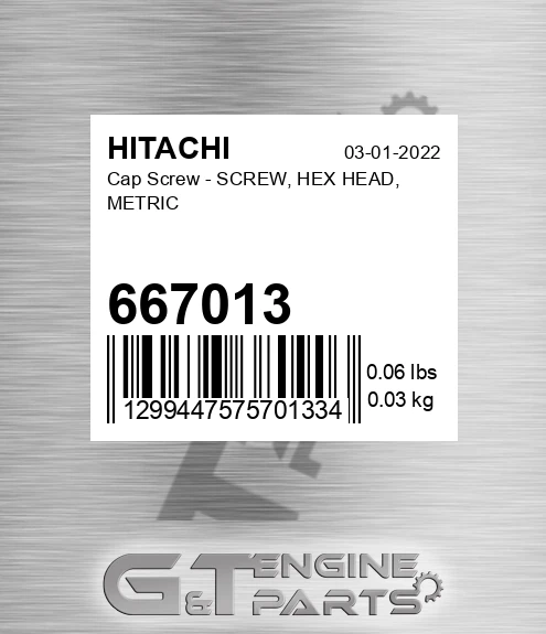 667013 Cap Screw - SCREW, HEX HEAD, METRIC