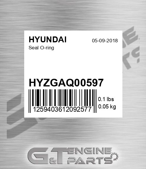 HYZGAQ00597 Seal O-ring