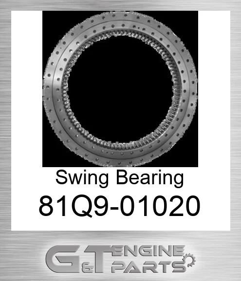 81Q9-01020 Swing Bearing