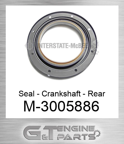 M-3005886 Seal - Crankshaft - Rear