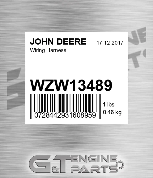 WZW13489 Wiring Harness