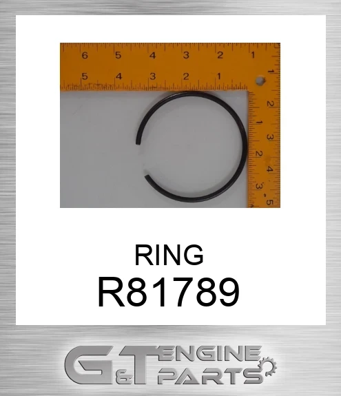 R81789 RING
