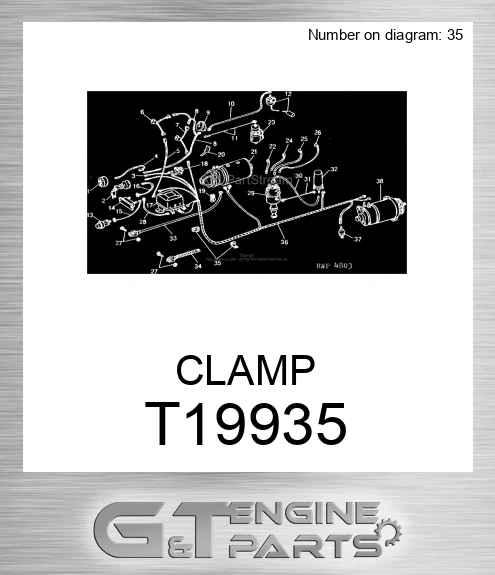 T19935 CLAMP