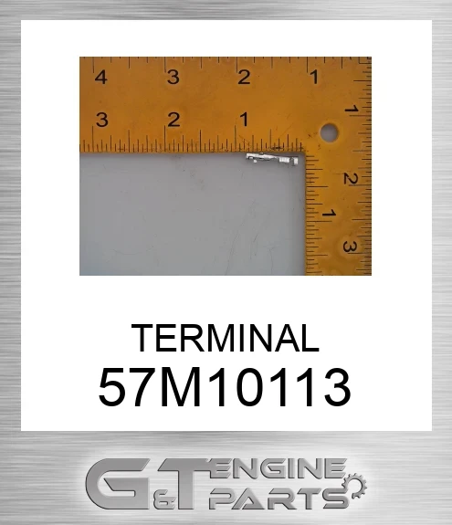 57M10113 TERMINAL