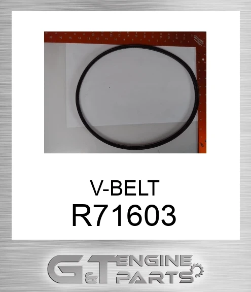 R71603 V-BELT