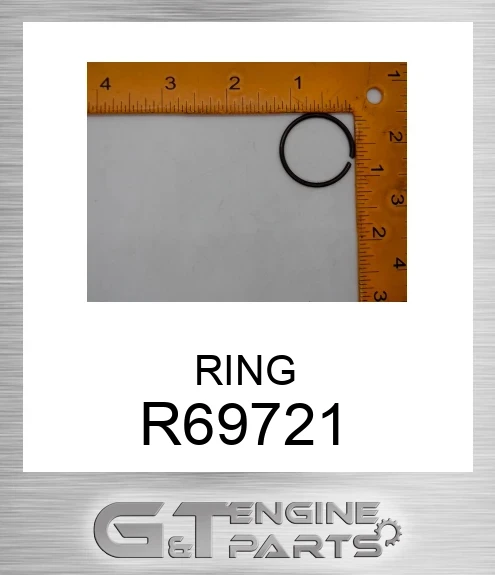 R69721 RING