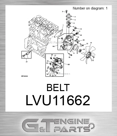LVU11662 BELT