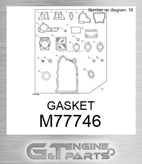 M77746 GASKET