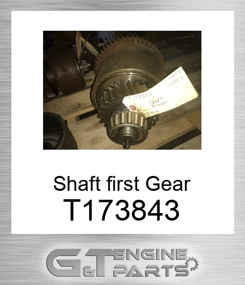 T173843 Shaft first Gear