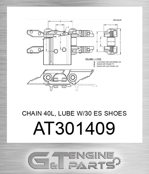 AT301409 CHAIN 40L, LUBE W/30 ES SHOES CL C