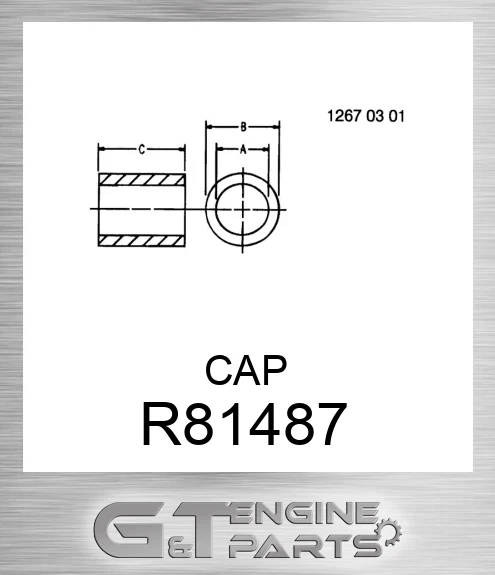 R81487 CAP