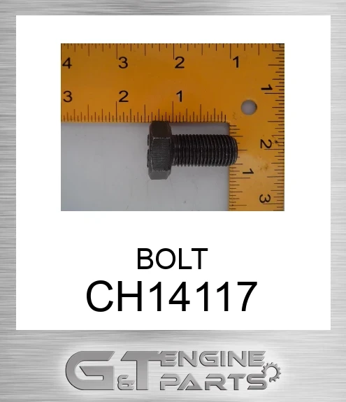 CH14117 BOLT