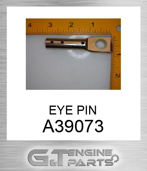 A39073 EYE PIN