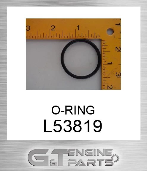 L53819 O-RING