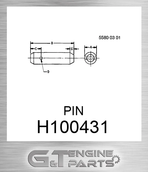 H100431 PIN