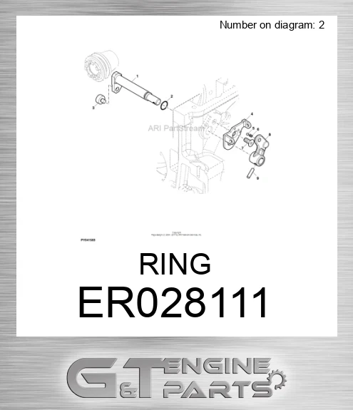 ER028111 RING