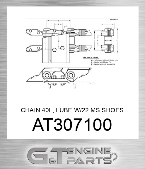 AT307100 CHAIN 40L, LUBE W/22 MS SHOES SC2