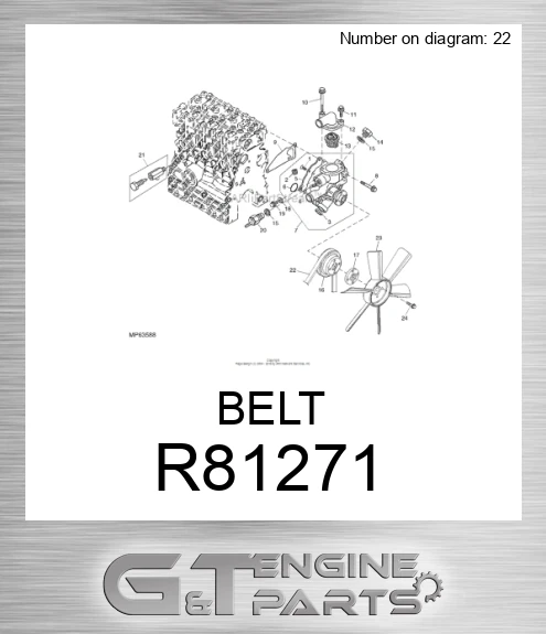 R81271 BELT