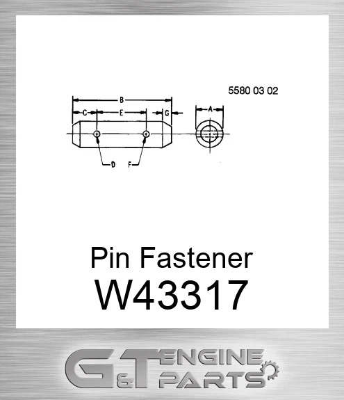 W43317 Pin Fastener