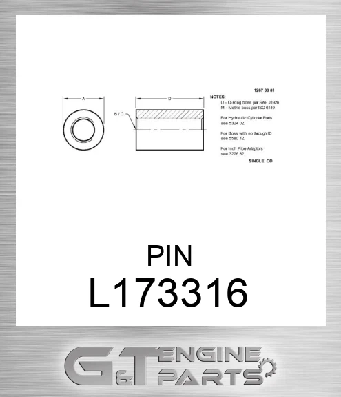 L173316 PIN