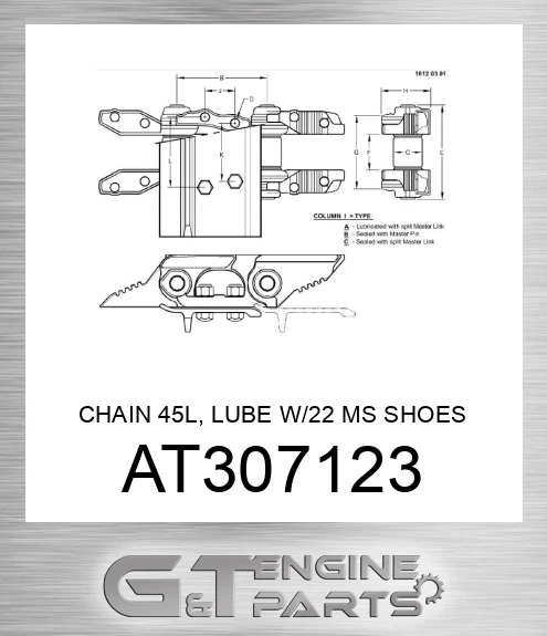AT307123 CHAIN 45L, LUBE W/22 MS SHOES SC2