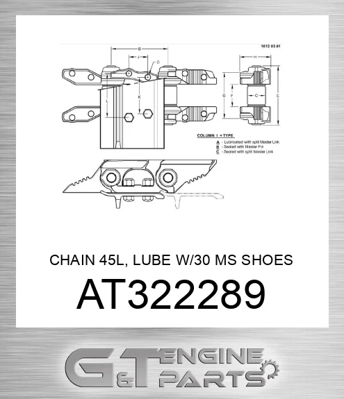 AT322289 CHAIN 45L, LUBE W/30 MS SHOES CL