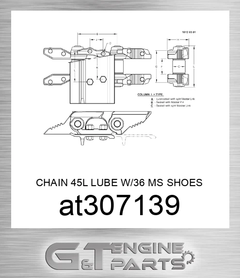 AT307139 CHAIN 45L LUBE W/36 MS SHOES SC2 CL