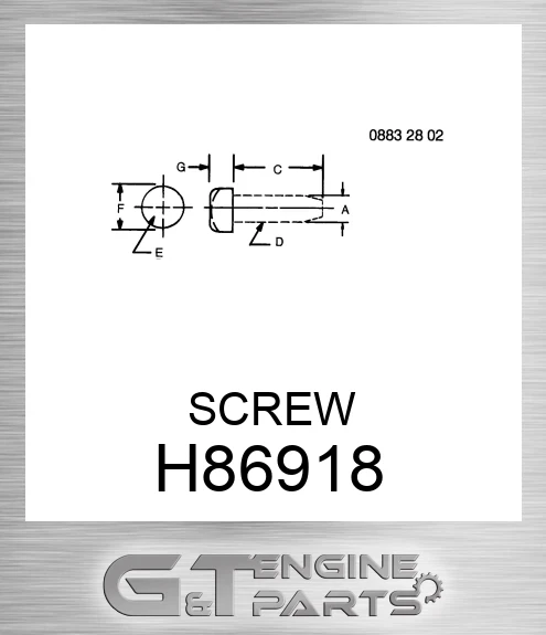 H86918 SCREW