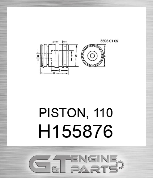 H155876 PISTON, 110