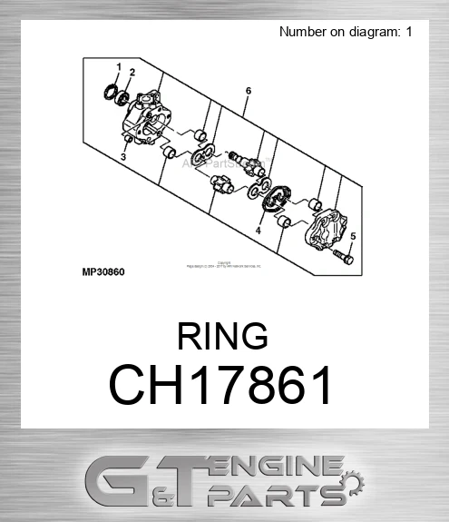 CH17861 RING