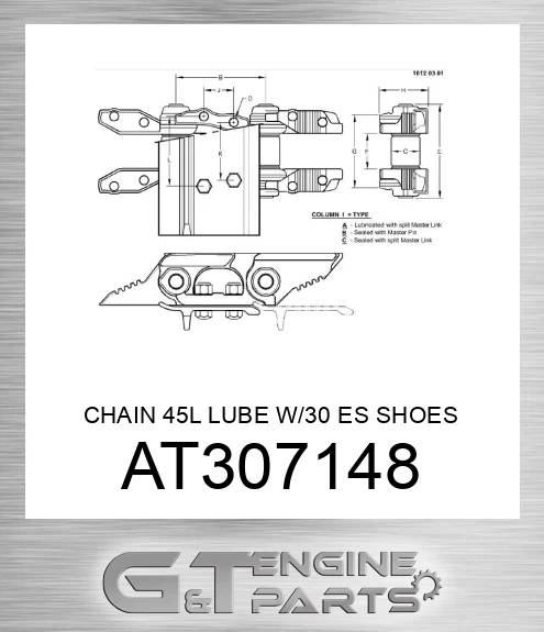 AT307148 CHAIN 45L LUBE W/30 ES SHOES SC2 CL