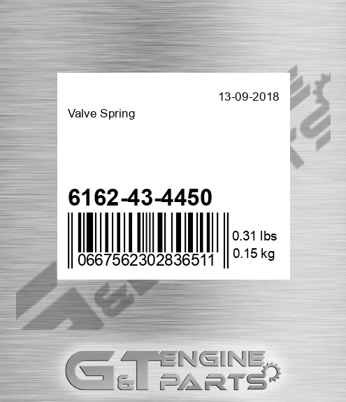6162-43-4450 Valve Spring