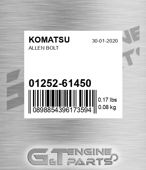 01252-61450 Allen Bolt