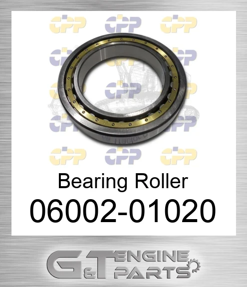 06002-01020 Bearing Roller