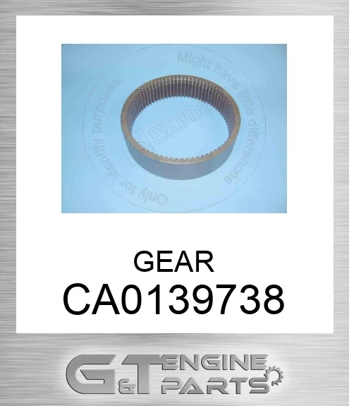 CA0139738 Ring Gear