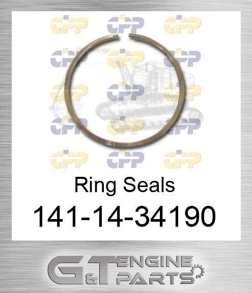 141-14-34190 Ring Seals